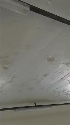 Does rubberized paint work on bathroom ceilings? #construction #building