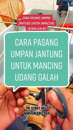 Jebat Derhaka | Angler Tiktok (@jebat_derhaka75)’s videos with France Accordion Swing - MIZUSATO Masaki