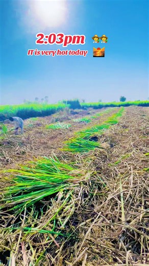 #creatorsearchinsights #Titles: Forever Mine Love Story, Can You Be Mine? Dreaming, Endless Love Quest Hashtags: #romance #lovequotes #relationshipgoals Hook: Ever wondered how to express eternal love in a creative way? Script: Intro: \tIntroduce a captivating love question. \tScript: