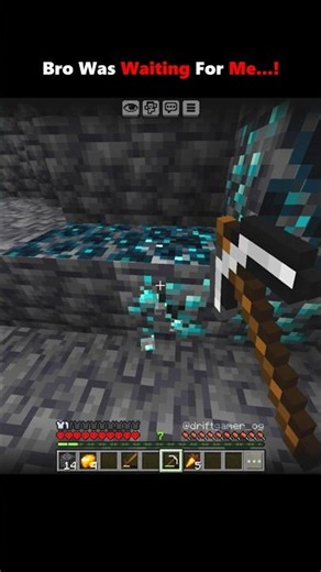 Bro was Waiting For me in Minecraft...