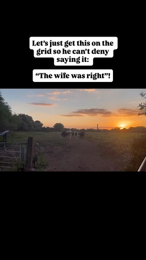 1.1K views · 58 reactions |  Calling the dry cows in to switch...