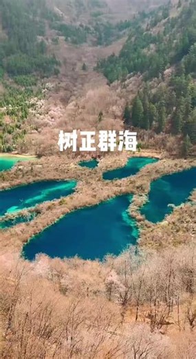 《群珠》 四川省九寨沟树正群海。树正群海就座落在树正寨的前面，登高看树正群海，一个个如藏在花草树木中大小不一的蓝绿宝石，又如藏起来的蓝精灵，忽闪着它那独有的目光，铮亮着望着这个世界，静卧在其中，而享受着它的独处时光。大小不一的海子，排列齐整，这里独到的景色，惊艳了所有的游客！