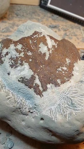 10K views · 141 reactions | The fossil turtle skull I am working on, it's a big one! #Fossil #turtle #rare #dinosaur | Mamlambo | Facebook