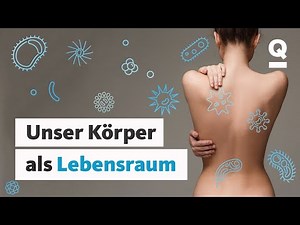 Planet Mensch: Unser Körper und seine Bewohner (Ganze Folge) | Quarks