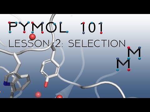PyMOL 101 Lesson 2: Basic Selection, Show, Hide, and Actions Menus (Carbonic Anhydrase Active Site)
