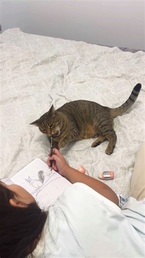 Desen- sărbătorile de iarna, drawing Christmas