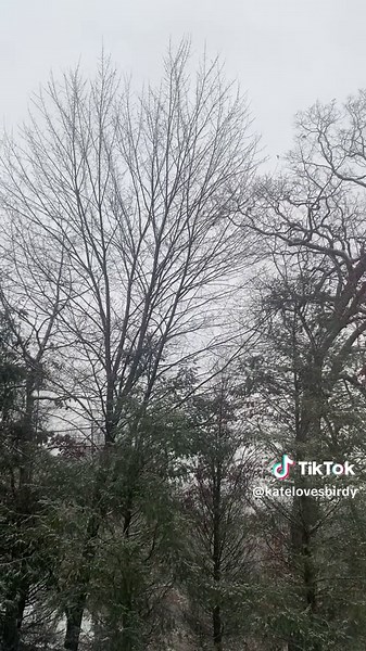 I havent seen snow for a long time :,)