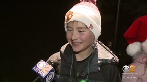 Brooklyn Botanic Garden's Lightscape show returns for the holidays