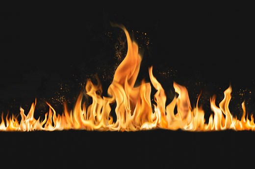 Is Fire Alive: Does It Have Cells?