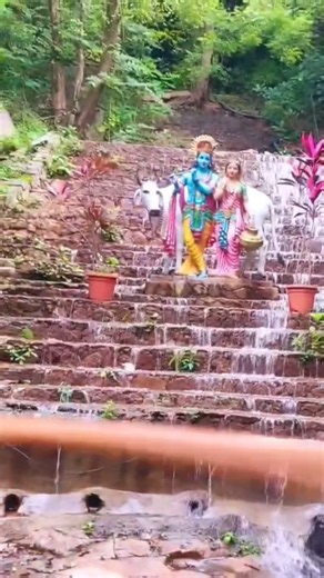 Jay Radha Madhav, jay Kunja Bihari. #shreekrishna