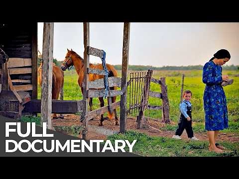No Power, No Technology, No Modern Life: The Mennonites of Mexico | Free Documentary