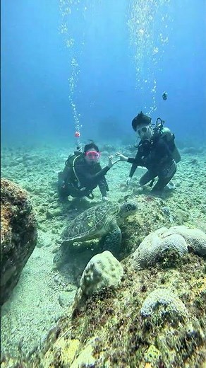 What It’s Like to Breathe Underwater for the First Time 😳 | #shorts #scubadiving #viral