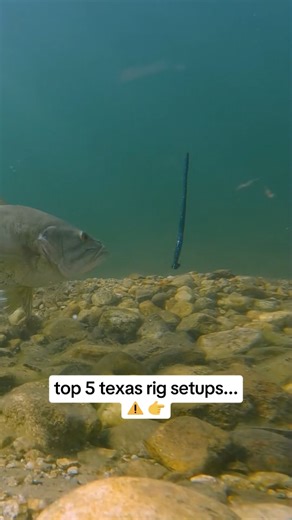 Understanding Fishing Lures: Choosing the Right Ones