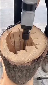 This is the process of making a hole in a tree trunk #shorts