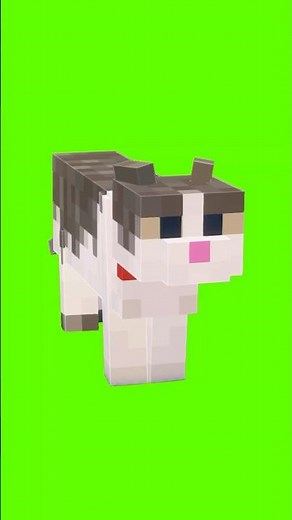 Minecraft - OIIA OIIA (Spinning Cat)