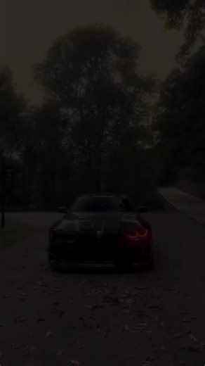 Joshua Lane (@joshua.lane5)’s videos with som original - ynm 🐉