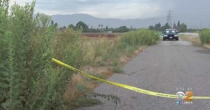 Woman and her 2 dogs struck by lightning, killed