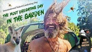 Have fun in the Sun today as it is International Naked Gardening Day - The first Saturday in May. It`s not for everyone I must admit. Even here things are starting to get chilly. It started in 2005, in Seattle. That`s the start of spring in the Northern Hemisphere and makes a lot of sense. More sun means more vitamin D and so on, but what about here? In the Northern Rivers, Australia, we are in Autumn. Lucky for us we are subtropical, which means even today we can join in...if it is your thing. 