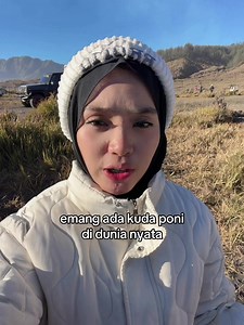 Kuda Poni di Dunia Nyata: Ada Unicorn atau Pony Asli?