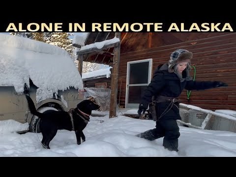 Preparing for the Arctic Blast in a Remote Alaska Cabin as Seen Through a Dog's Eyes