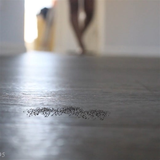 Micro Maniac on Instagram: "Out Now! Link In Bio! #giantess #giantesscrush #giantessmicro #giantessbuttcrush #giantesscommunity #giantesswoman #giantessfetish #giantessrp #giantessgoddess @themicromaniac"