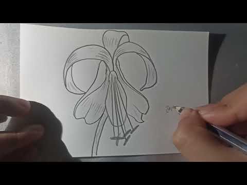 How to draw the fleur de lis