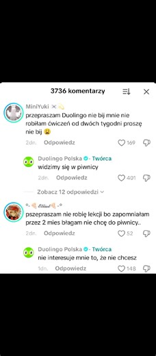 Mastering Polish with Duolingo: A Fun Journey