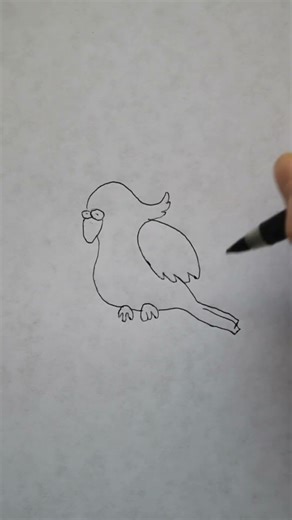 How To Draw A Cute Cockatoo (Visual Tutorial) #shorts #cutedrawing