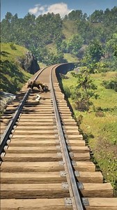Steam Deck Red Dead Redemption 2 #rdr2 #shots