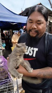 Baka magalit asawa ni Garfield Boss Nong 😂🤣😱🫣 #cat #petlovers #catlovers #petcare #goodvibes | TITA A's Vlog