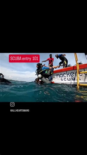 How do you start a scuba dive? Like this! 🌊It’s called the backward roll entry!