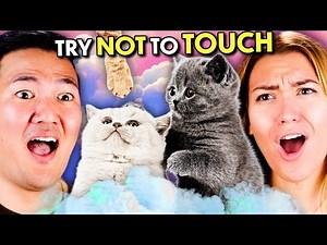 Fluffiest Things In The World! (Puppies & Kittens) - Try Not To Touch