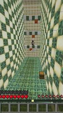 Drop Test #minecraft #minecraftgameplay#test