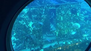 8.1K views · 269 reactions | Up close and personal with the Carthaginian. | Atlantis Adventures Hawaii | Facebook