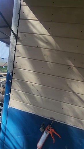 silicon around wood trying to keep water tight