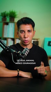 Corbeau vs Aigle : quelles sont les différences ?