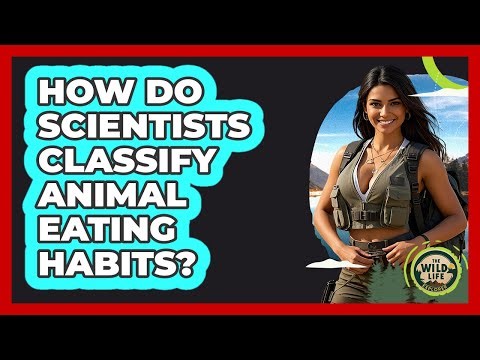 How Do Scientists Classify Animal Eating Habits?