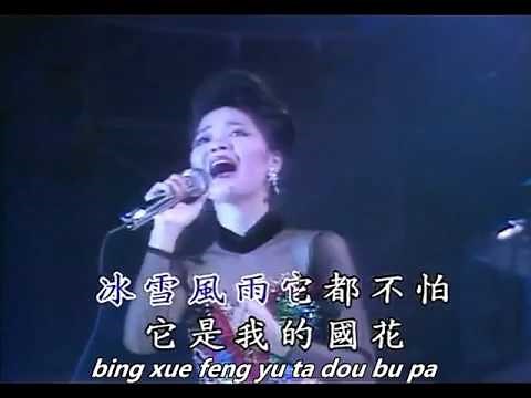 鄧麗君 - 梅花 1984 HD Teresa Teng - Mei Hua with Pinyin Lyrics