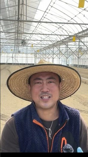 えひめAI-2 納豆 ヨーグルト イースト菌 砂糖 で作れる優しい農業、掃除、資材