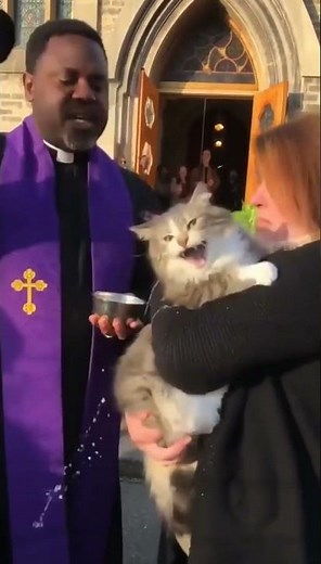 😼 Cat Exorcism — The Power of Meow Compels You! ✝️🔥