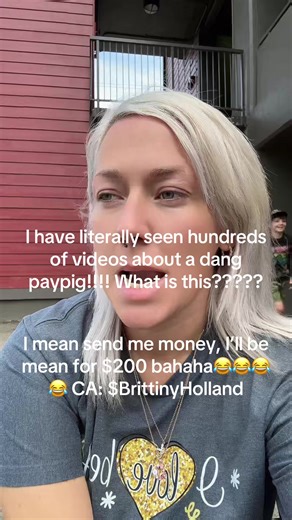 Seriously. What the heck is a paypig?????? I’ll be mean for $200 😭😂😂 #paypig #piggy #payme #cashapp #funny #humor #laugh