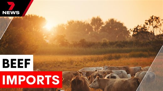 australia lifts restrictions on US beef imports