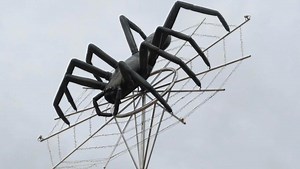 Dale the spider is coming down after 20 years
