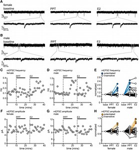 Statview 5.0 Software Download