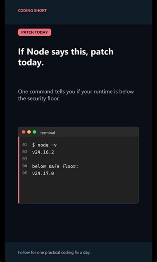 Node Security Patch: The One Command Check