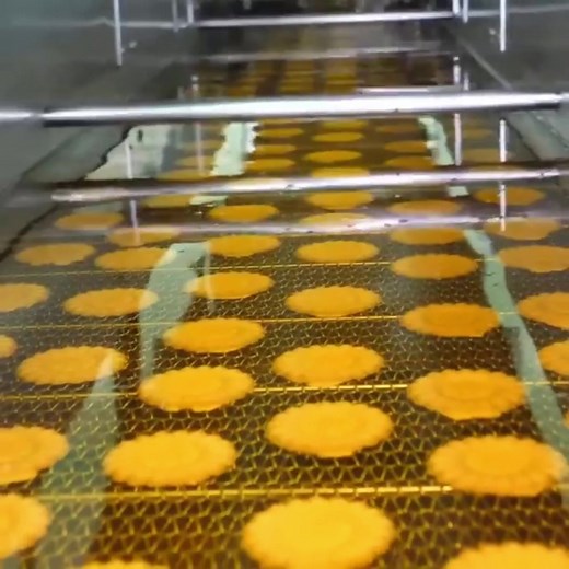 UNT FREEDOM on TikTok