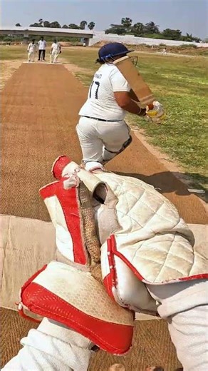 Lightning Fast Crocodile Catch🐊 #CricketReels#CricketShorts#IPL2026#CricketHighlights#ViralCricket