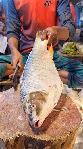 Amazing Fish Cut Skills | Big Carp Fish Cutting By Expert Cutter