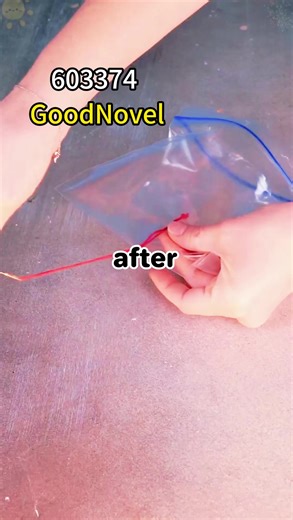 My Neighbor Took Me to Court: A Drama Unfolds