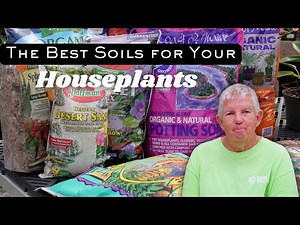 Houseplant Soils 101: The Best Soils for Your Houseplants | Green Side Up